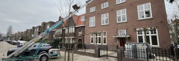 Update Mesdagstraat 4 februari 2025